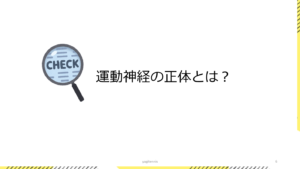 テニスにおける運動神経の正体とは？