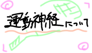 テニス初心者でも大丈夫な、運動神経についてのお話