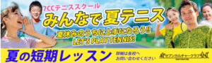 レックテニススクールsann